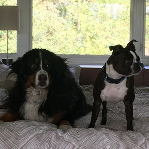 Meet your Posher, Maeve